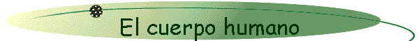 El cuerpo humano
