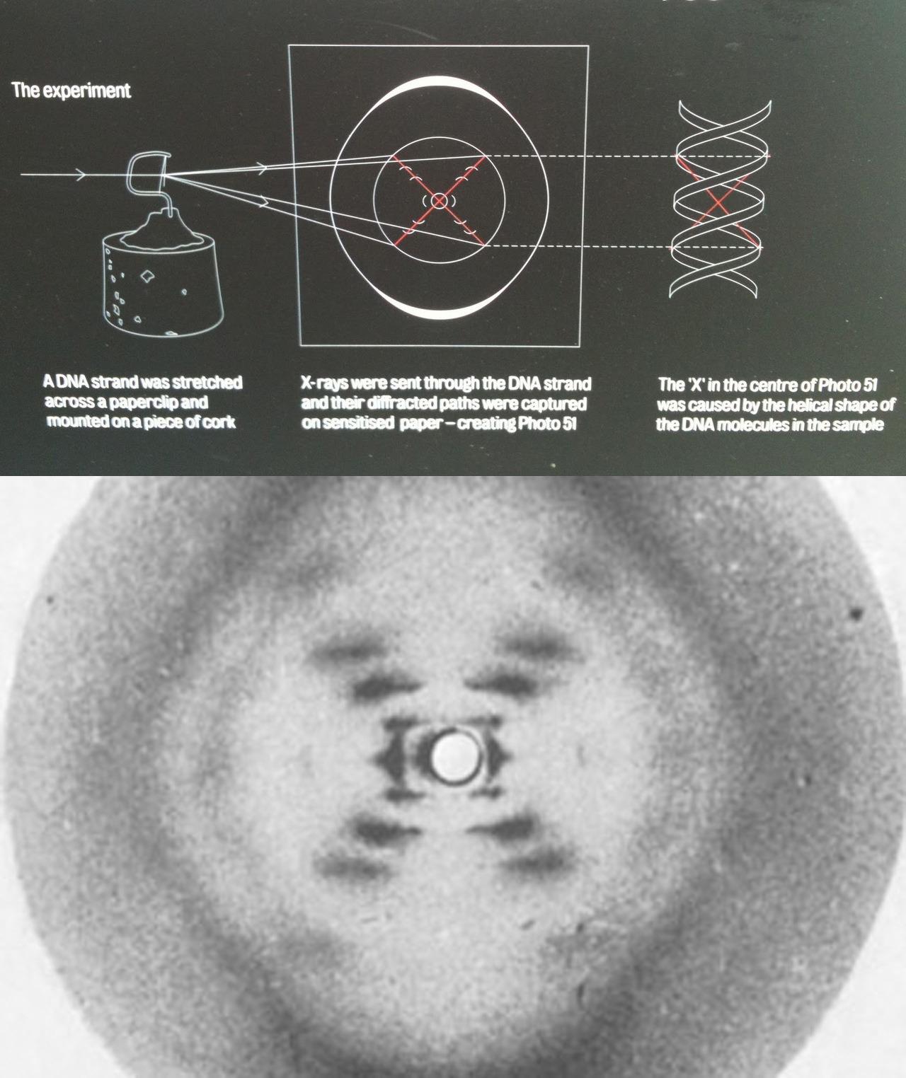 Foto 51: la fascinante historia detrás de la célebre imagen de ...