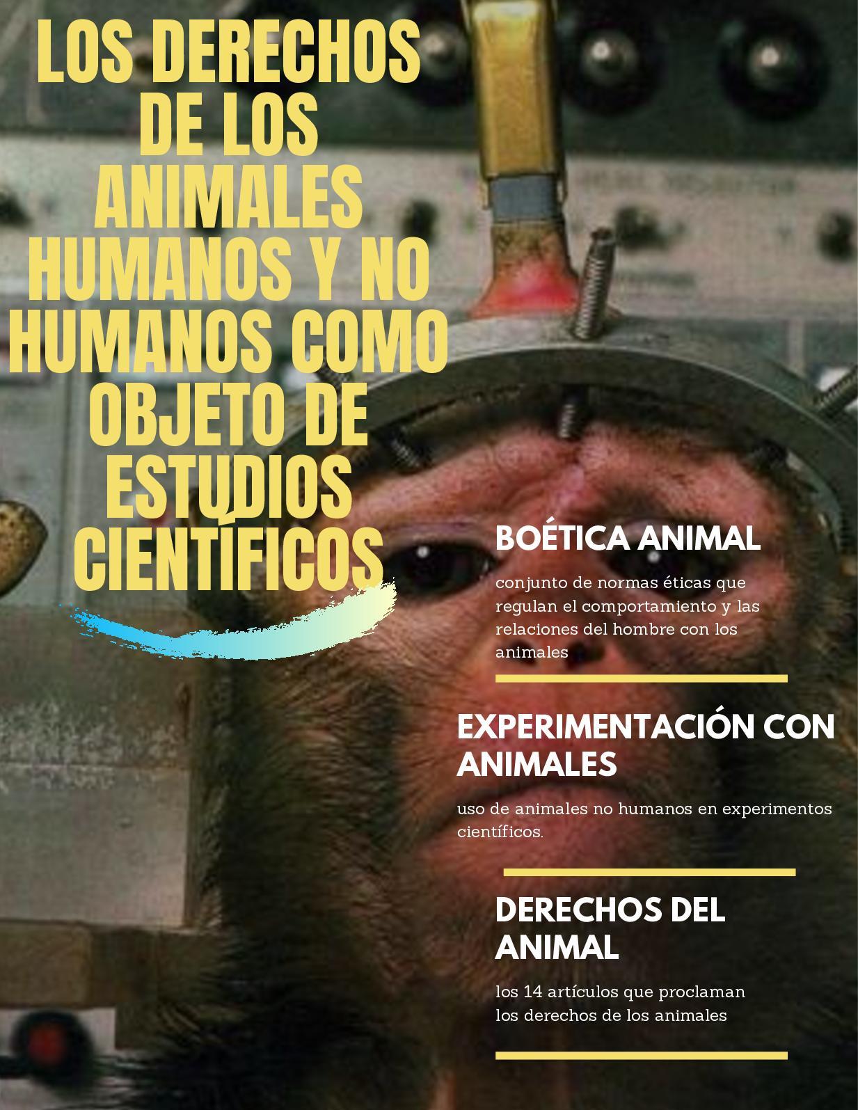 Calaméo - Los Derechos De Los Animales Humanos Y No Humanos Como ...